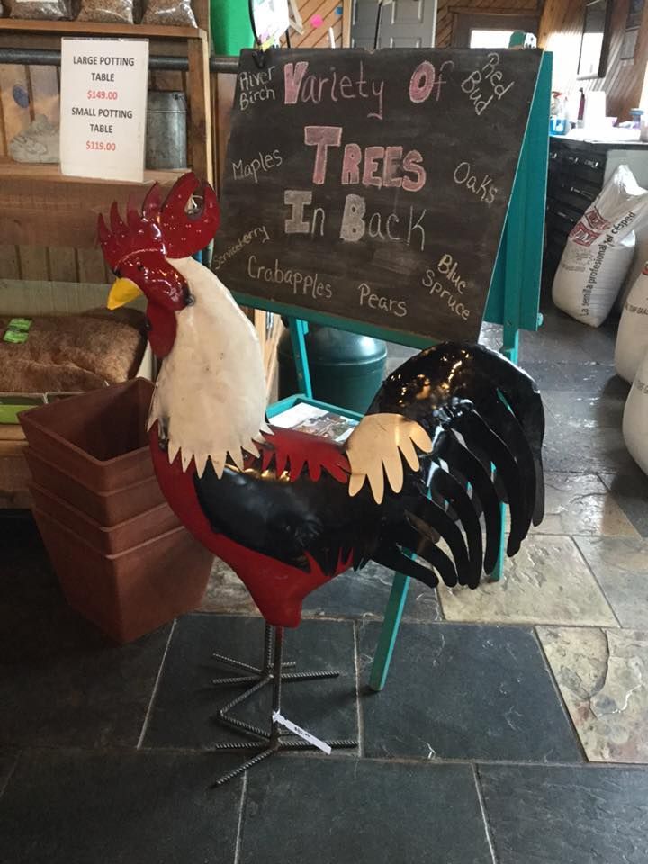 A rooster is standing in front of a sign that says variety of tires in back