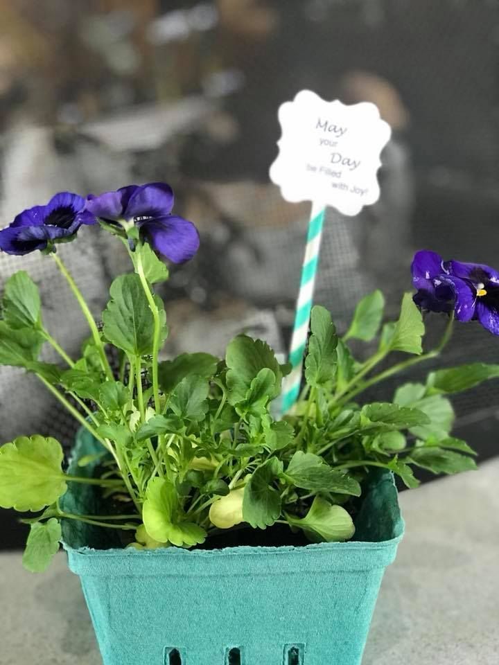 A potted plant with purple flowers and a straw sticking out of it.