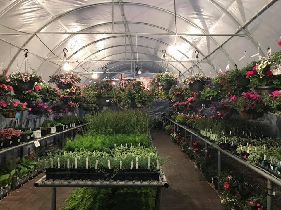A greenhouse filled with lots of flowers and plants.