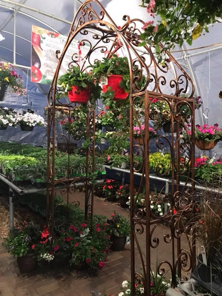 A greenhouse filled with lots of potted plants and flowers.
