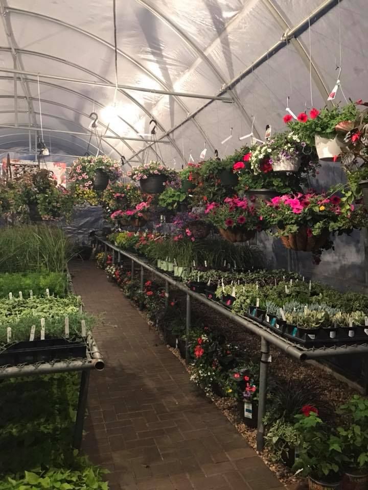 A greenhouse filled with lots of potted plants and flowers.