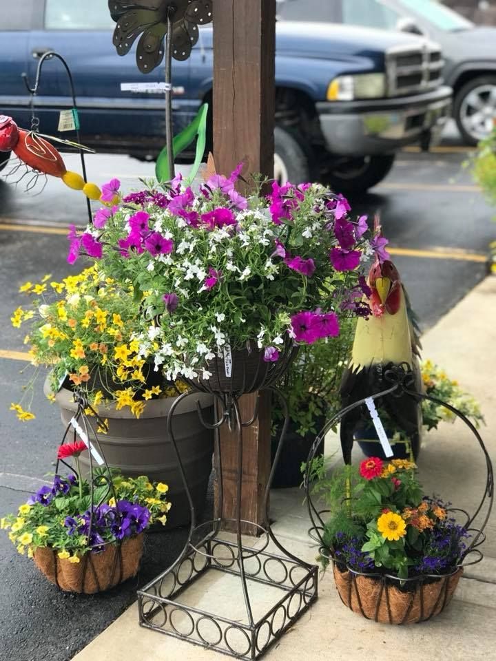 A bunch of potted flowers are sitting on a sidewalk in a parking lot.