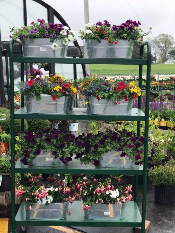 A green cart filled with lots of potted flowers