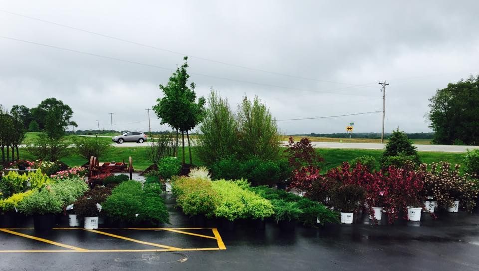 A parking lot filled with lots of potted plants on a cloudy day
