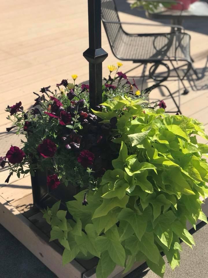 A planter filled with flowers and green plants on a wooden deck.