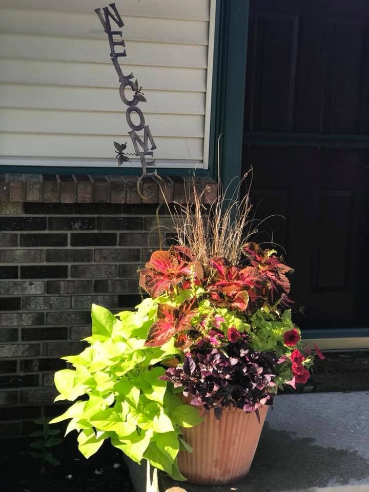 A potted plant with a sign that says welcome