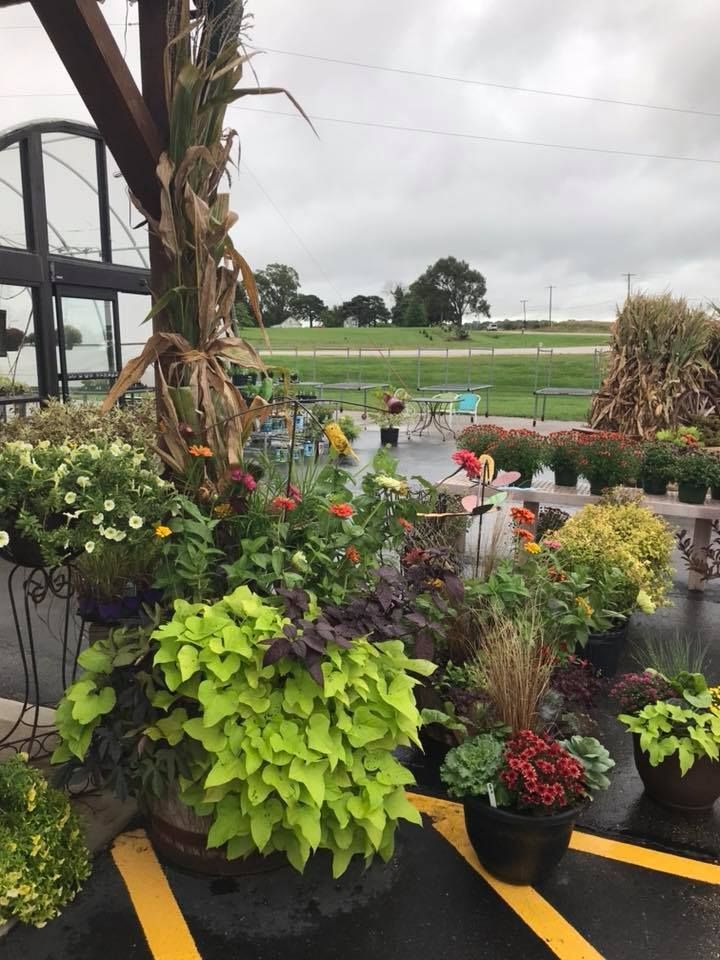 A bunch of potted plants are sitting in a parking lot.
