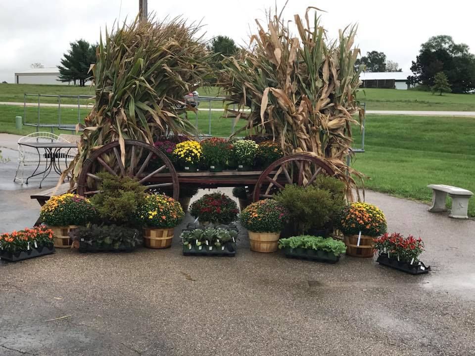 A wagon is decorated with flowers and corn on the cob.