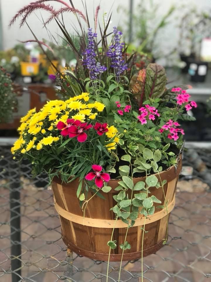 A wooden bucket filled with flowers is hanging from a chain link fence.