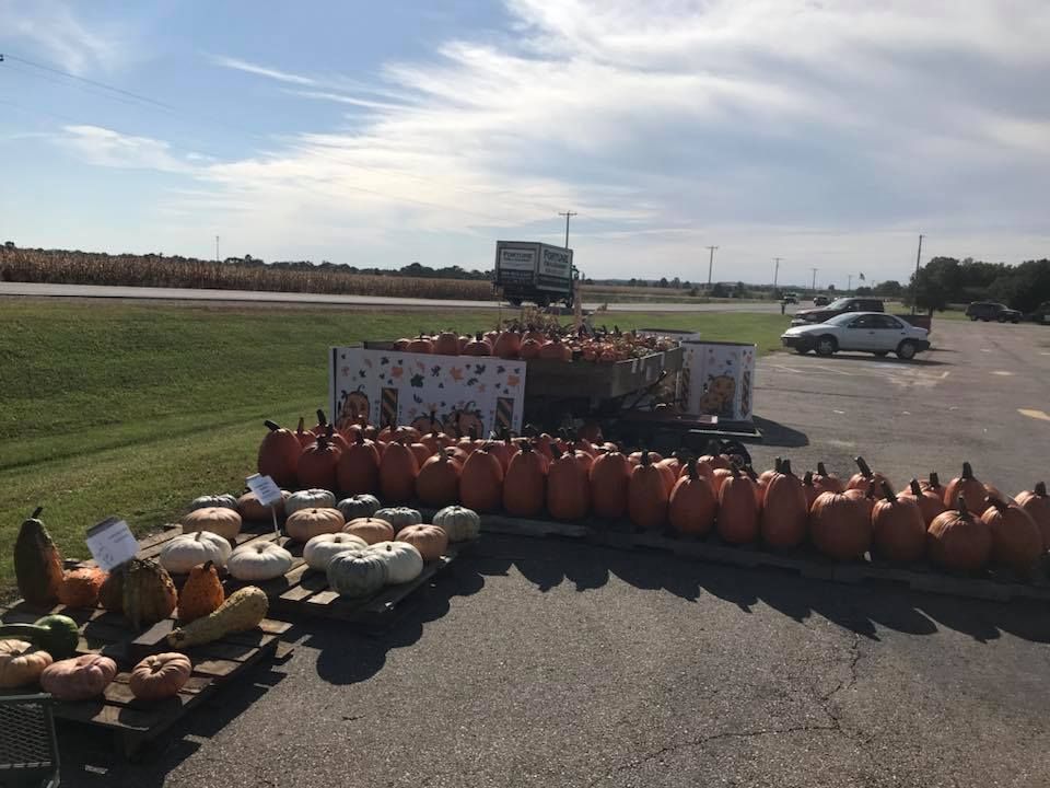 A bunch of pumpkins are lined up in a parking lot