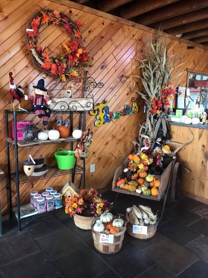 A room with a wooden wall and a display of pumpkins and flowers
