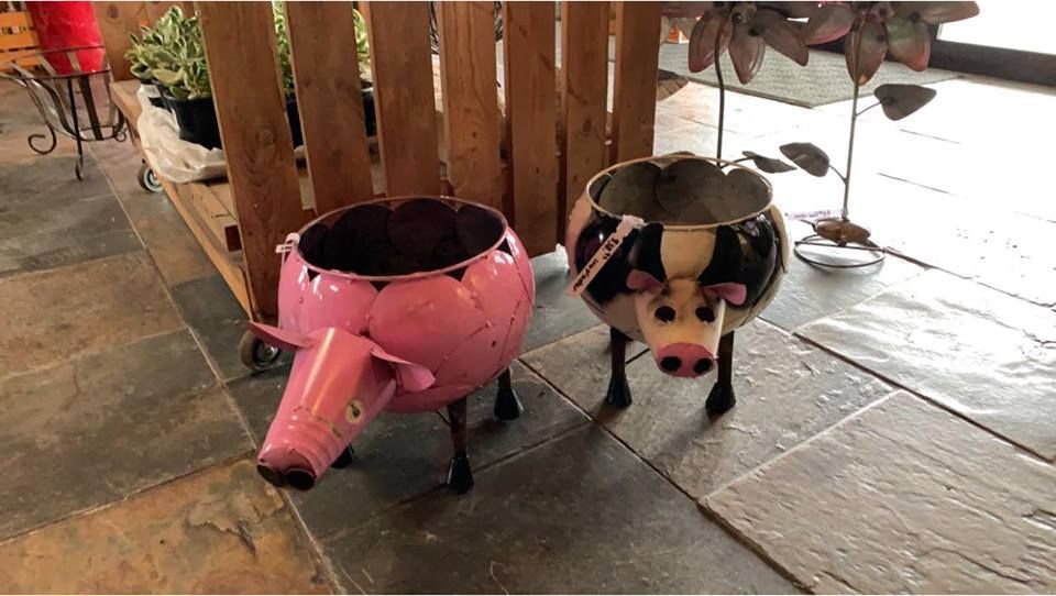 Two pig planters are sitting next to each other on a tiled floor.