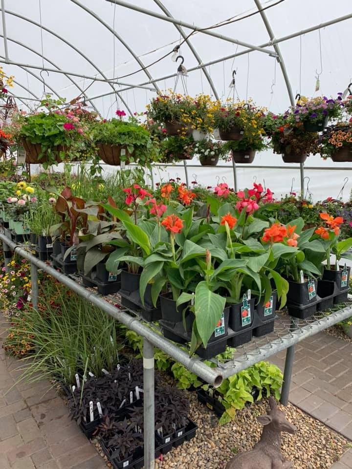 A greenhouse filled with lots of potted plants and flowers.