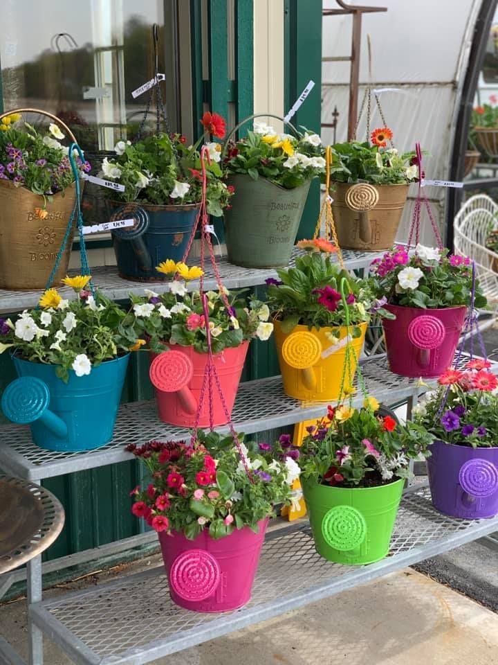 A bunch of buckets filled with flowers are sitting on a shelf.