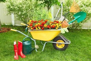 A wheelbarrow filled with flowers, a watering can, boots, and gardening tools.