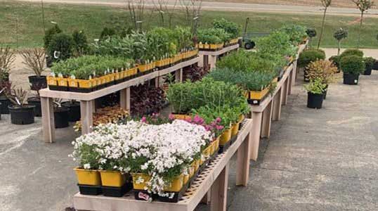 A row of tables filled with potted plants and flowers.