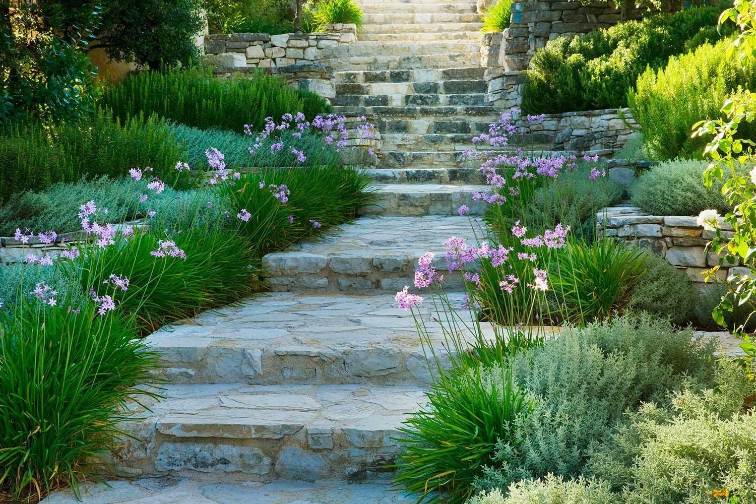 Stone staircase ascending through a garden with lavender flowers and greenery.