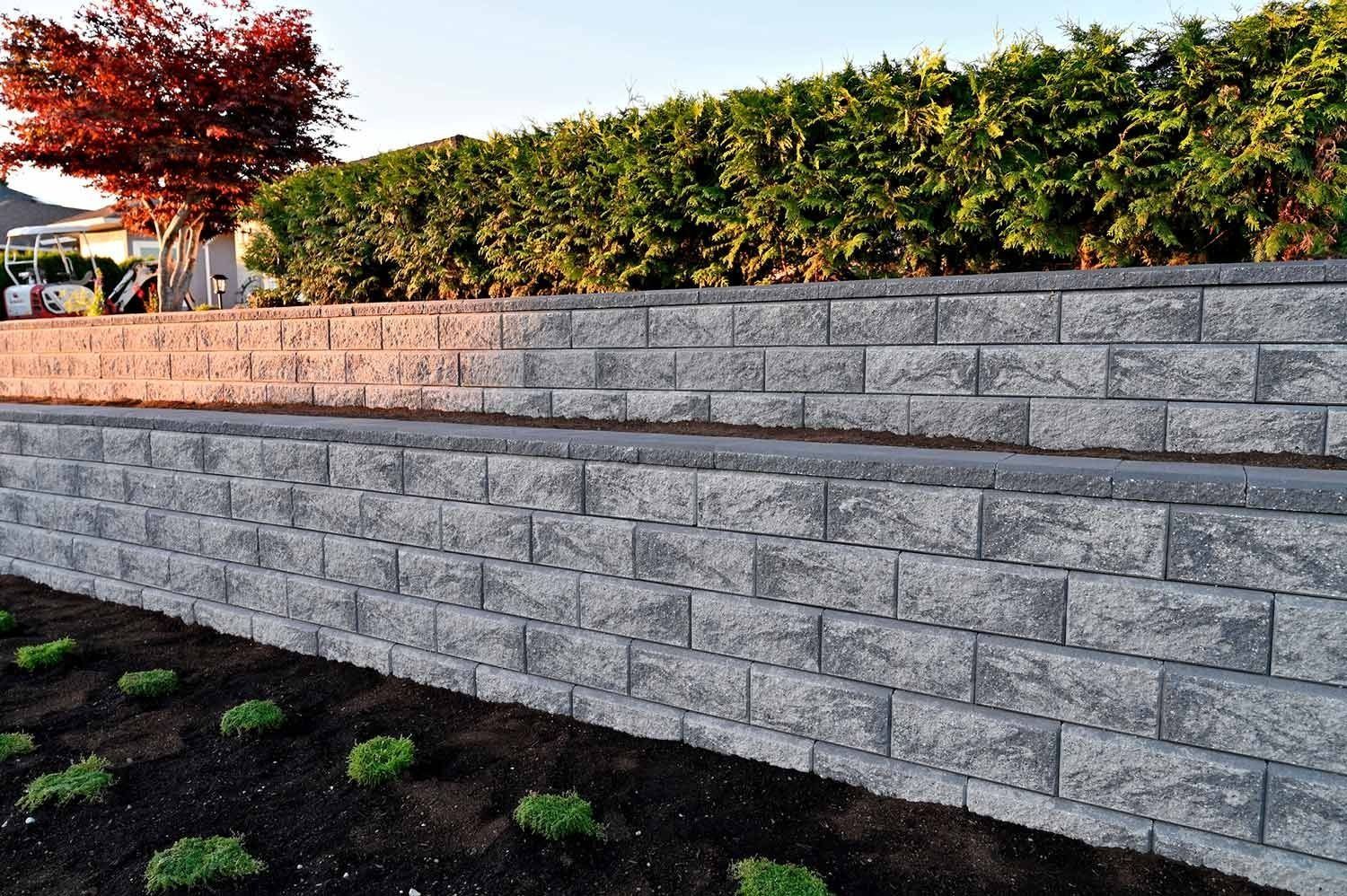 Stone retaining wall with dark green hedge in background and small plants in foreground.