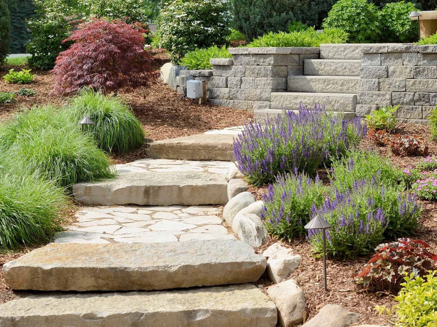 Stone steps and pathway through a landscaped garden with various plants and shrubs.