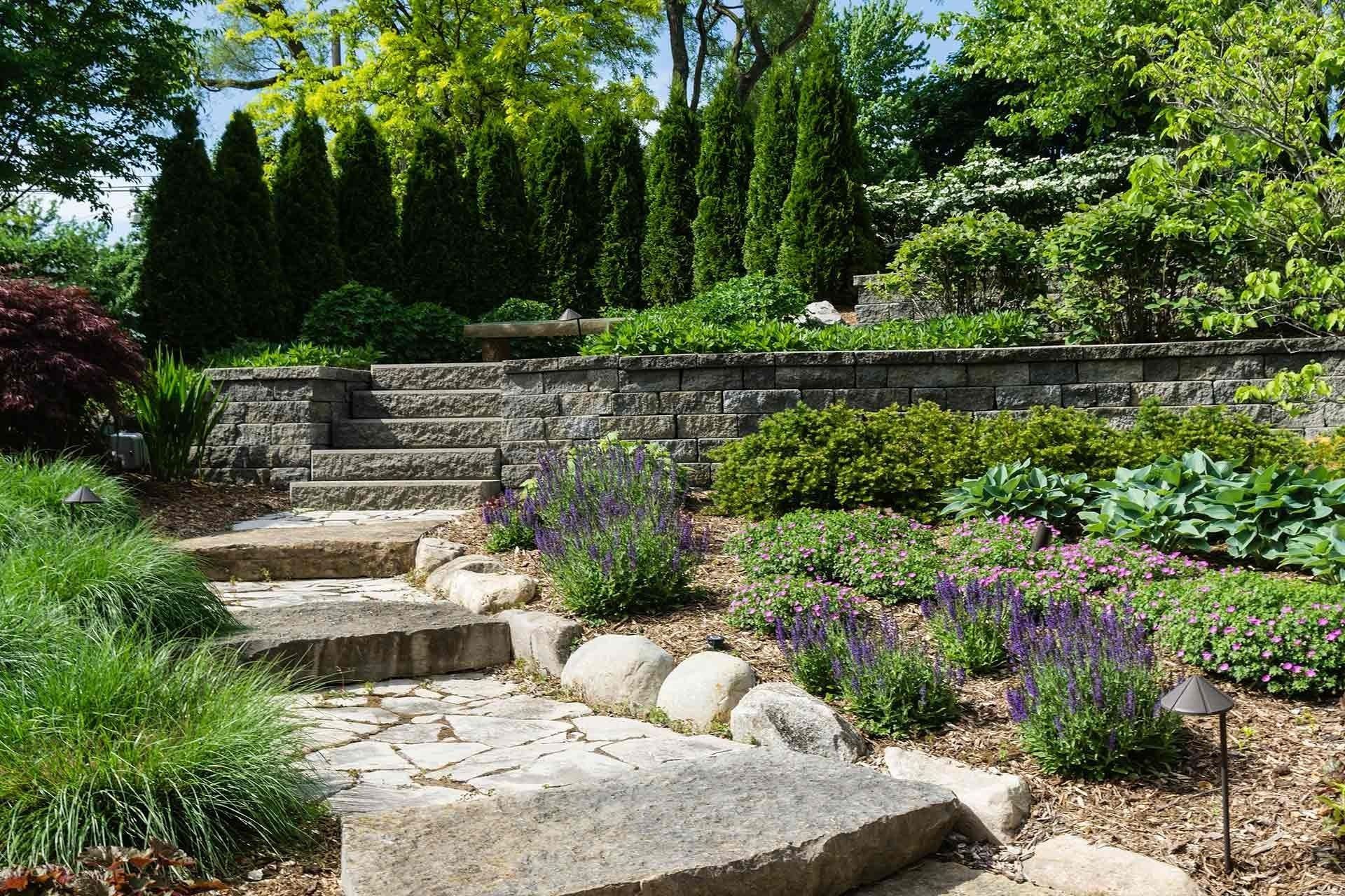 Stone steps lead up a tiered garden with various plants and evergreen trees in the background.