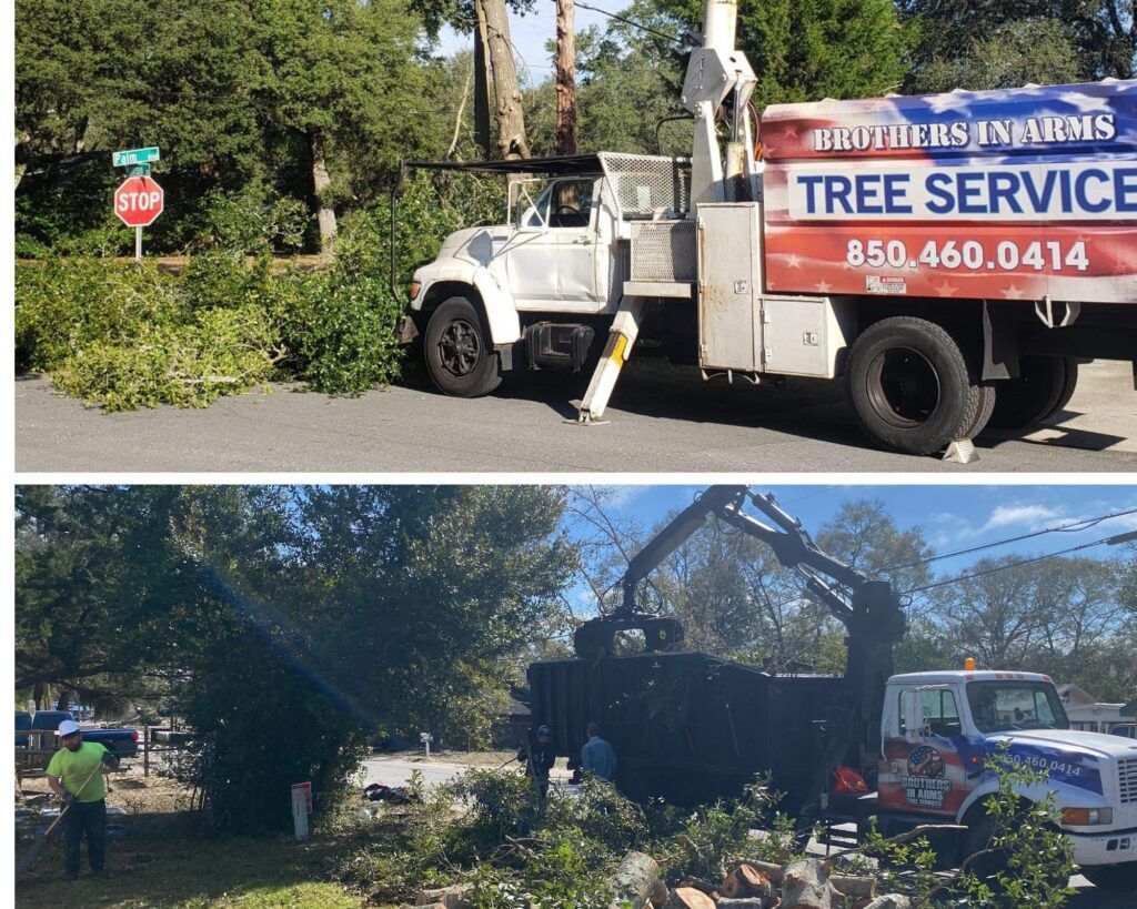 Tree service trucks cutting trees on a road. Green leaves and a stop sign are visible.