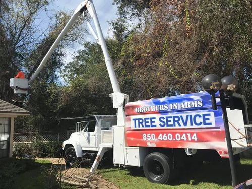 Brothers in Arms Tree Services