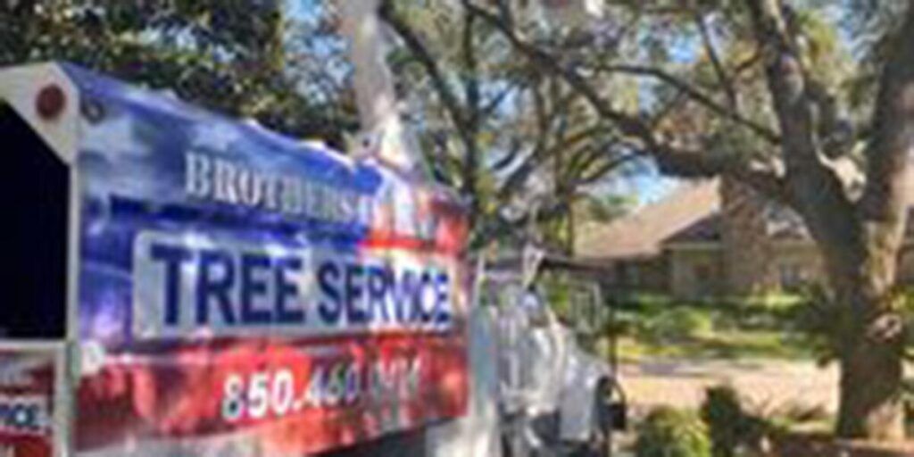 A tree service truck with the name 