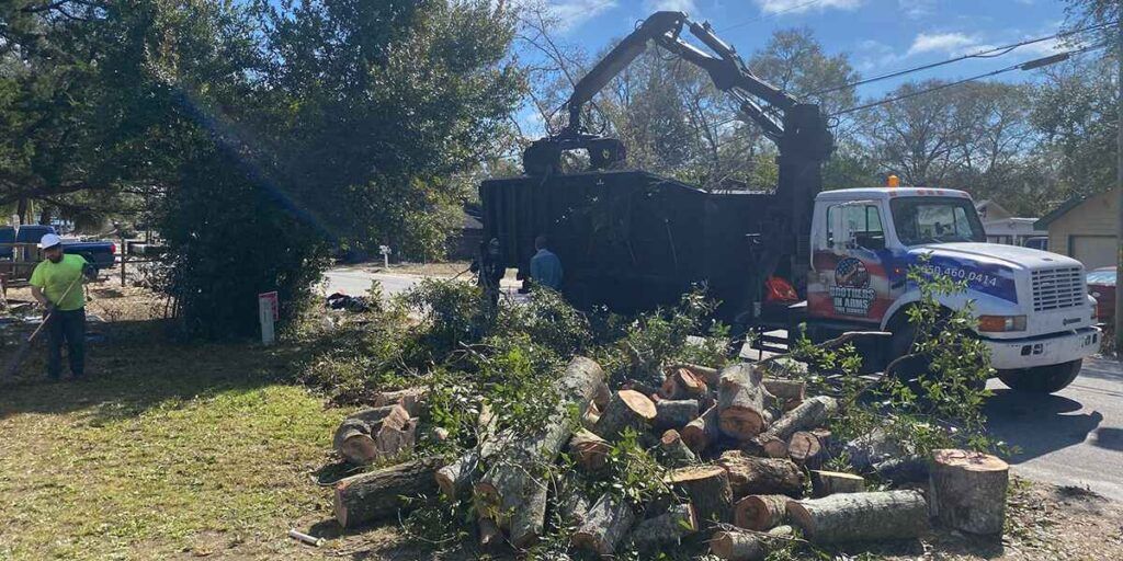 A tree service truck loads wood debris. A worker in a green vest stands nearby.
