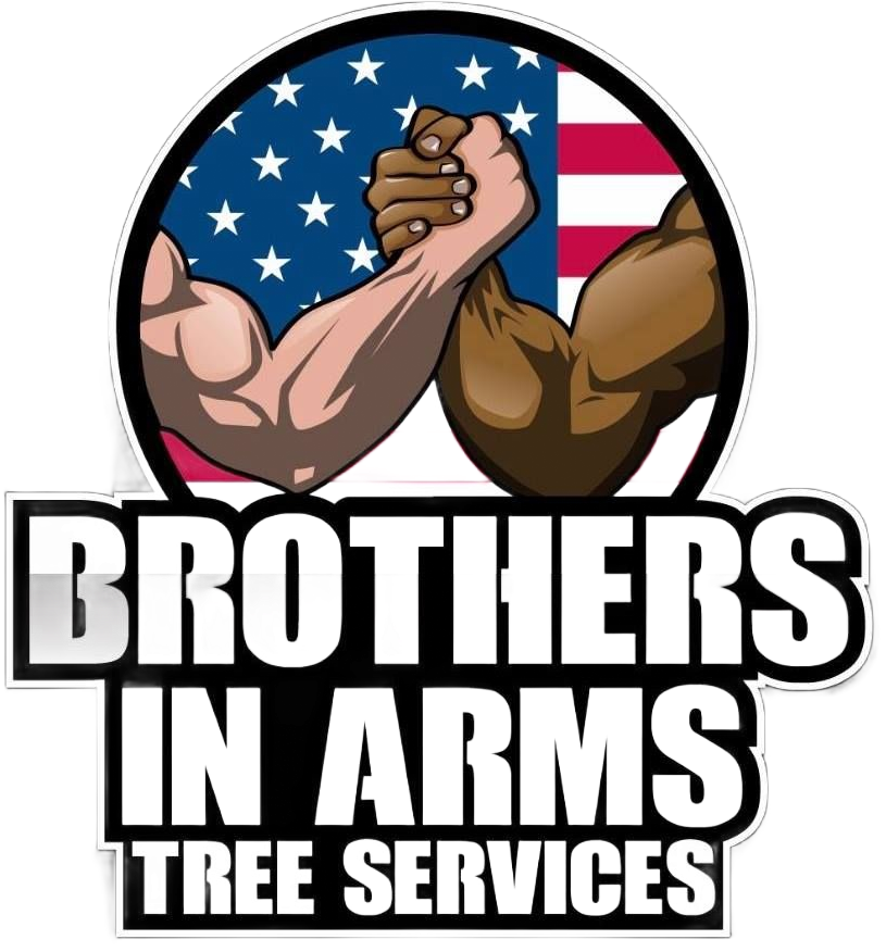 Brothers in Arms Tree Services- logo