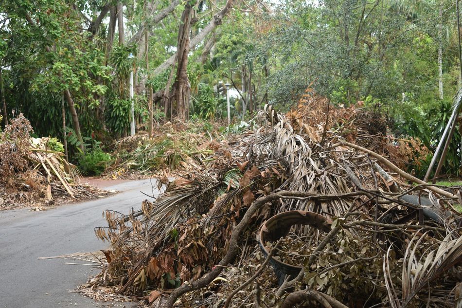 Brothers in Arms Tree Services