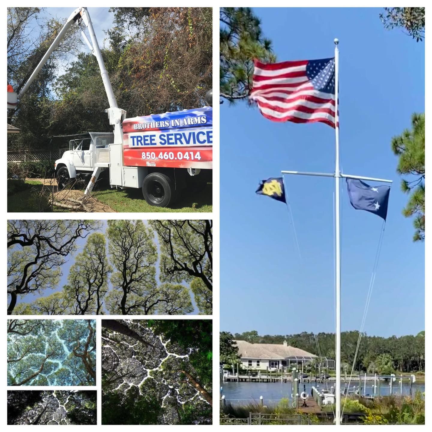 Tree service truck trimming branches; American and state flags flying; tree canopy; bark closeups.