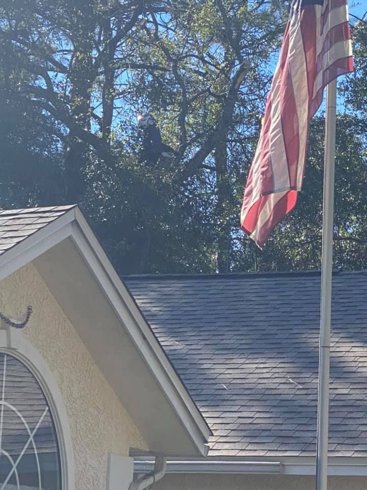 American flag flying near a house with dark roof and a tree in the background.