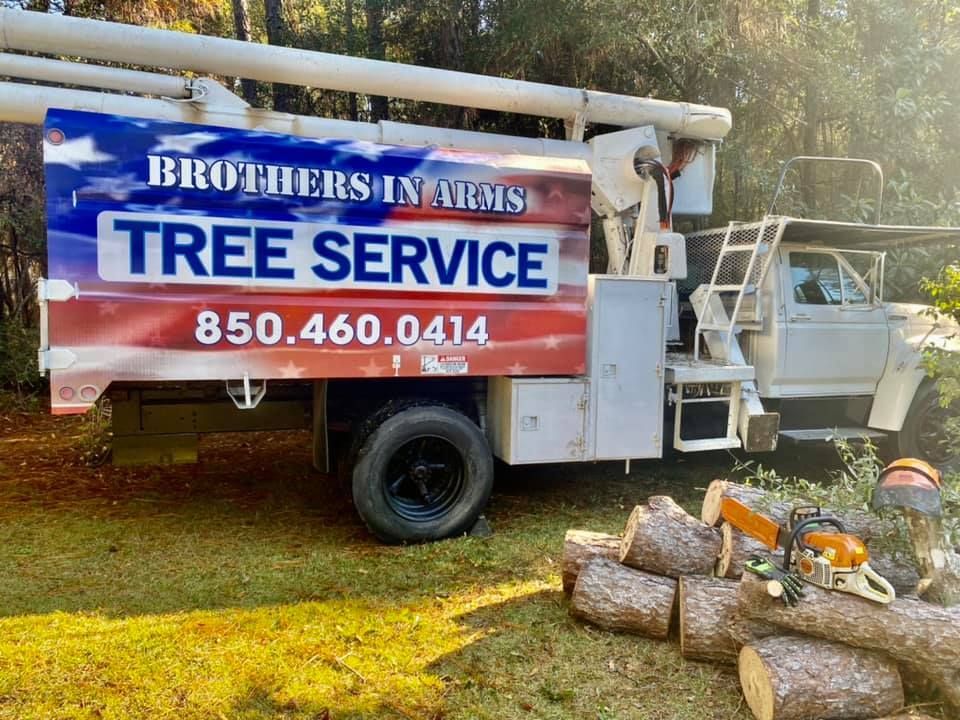 Tree service truck with a patriotic design and contact information next to cut logs and a chainsaw.