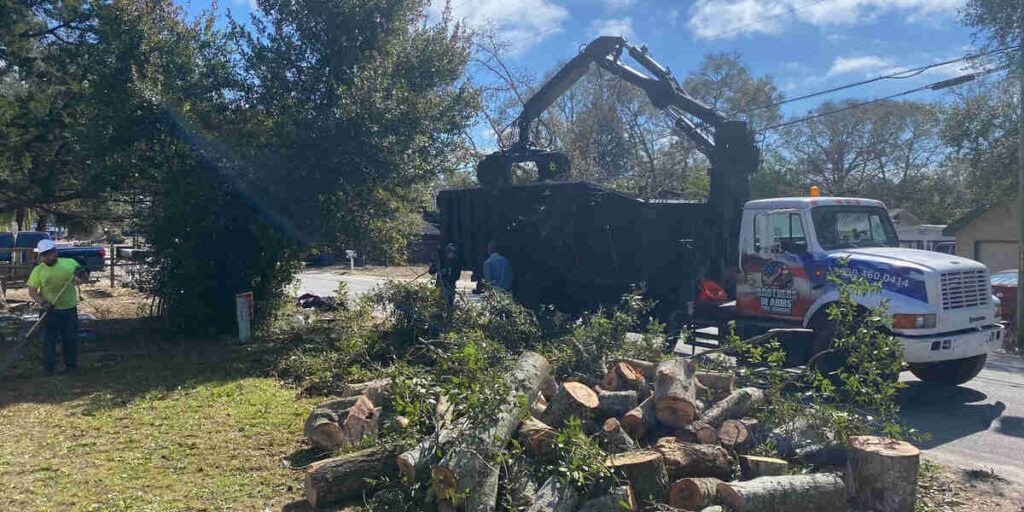 A tree service truck loads tree branches. Workers in safety vests are present. Sunny day.