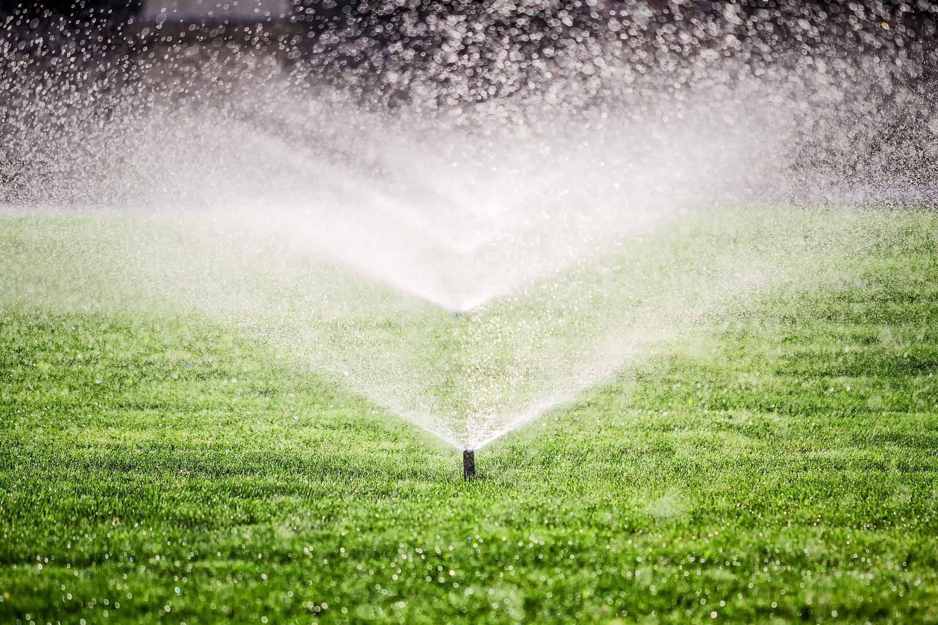 irrigation system