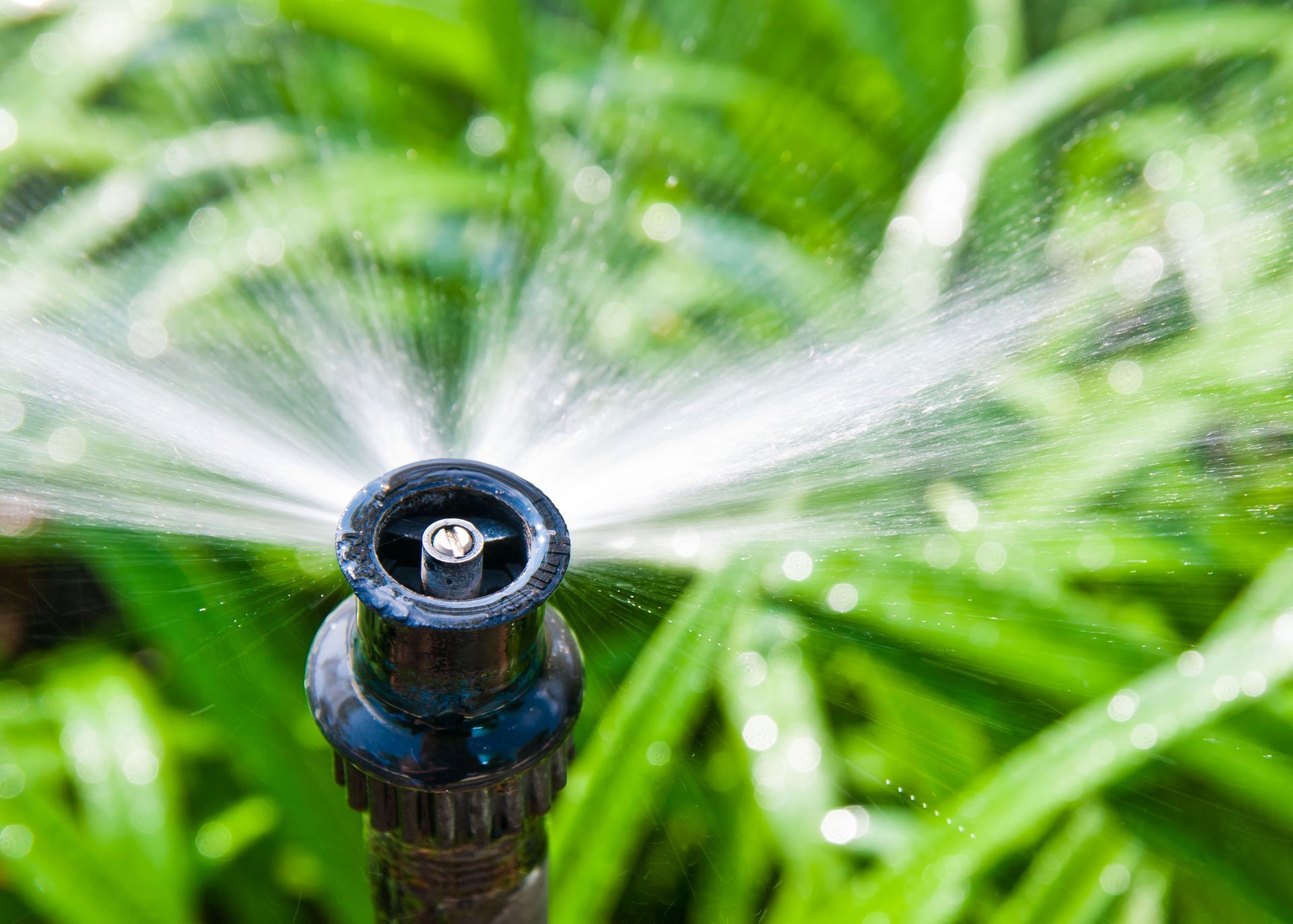 lawn sprinkler system