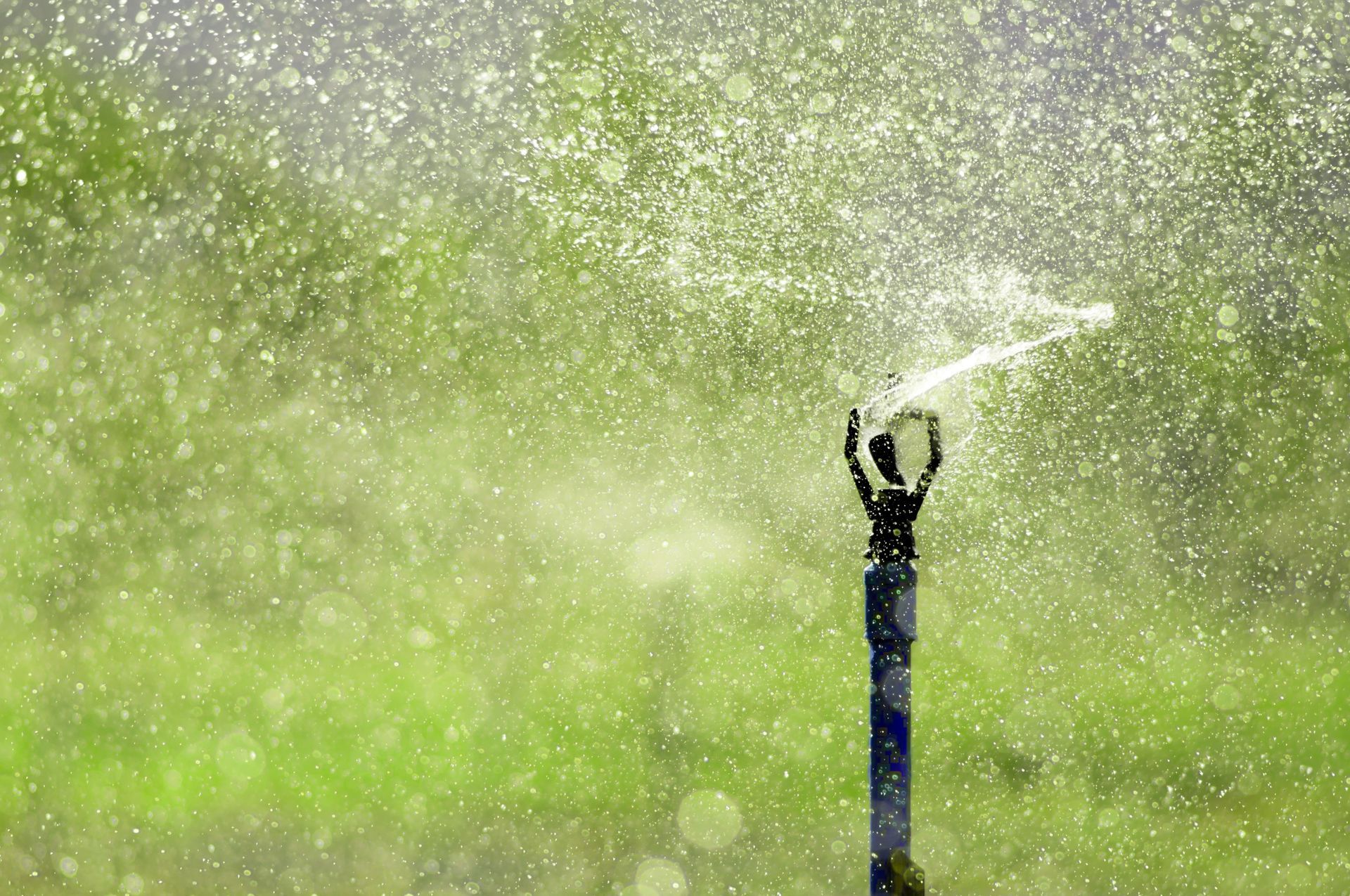 lawn sprinkler system