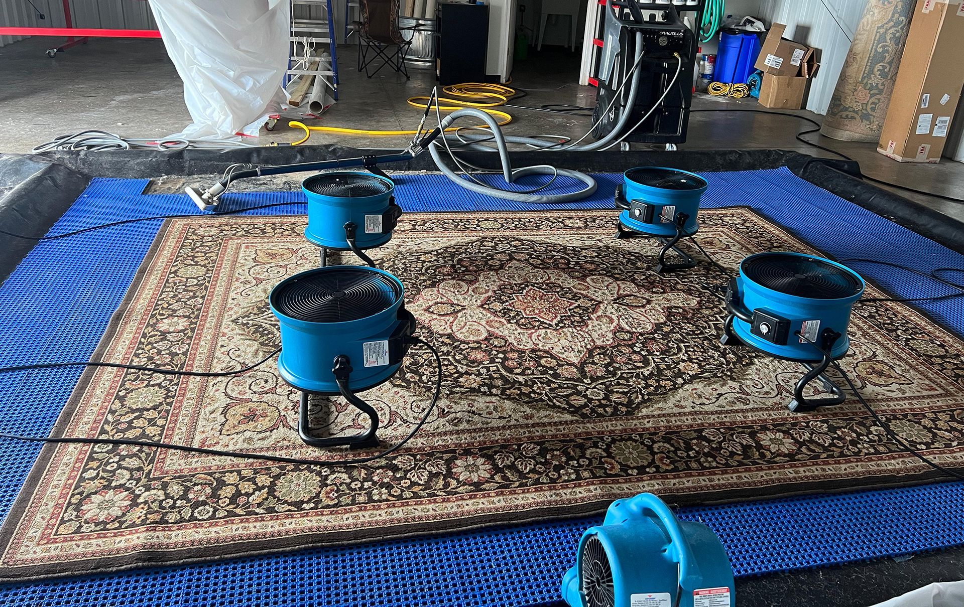 Five blue fans drying a patterned rug on blue mats, set inside a building.