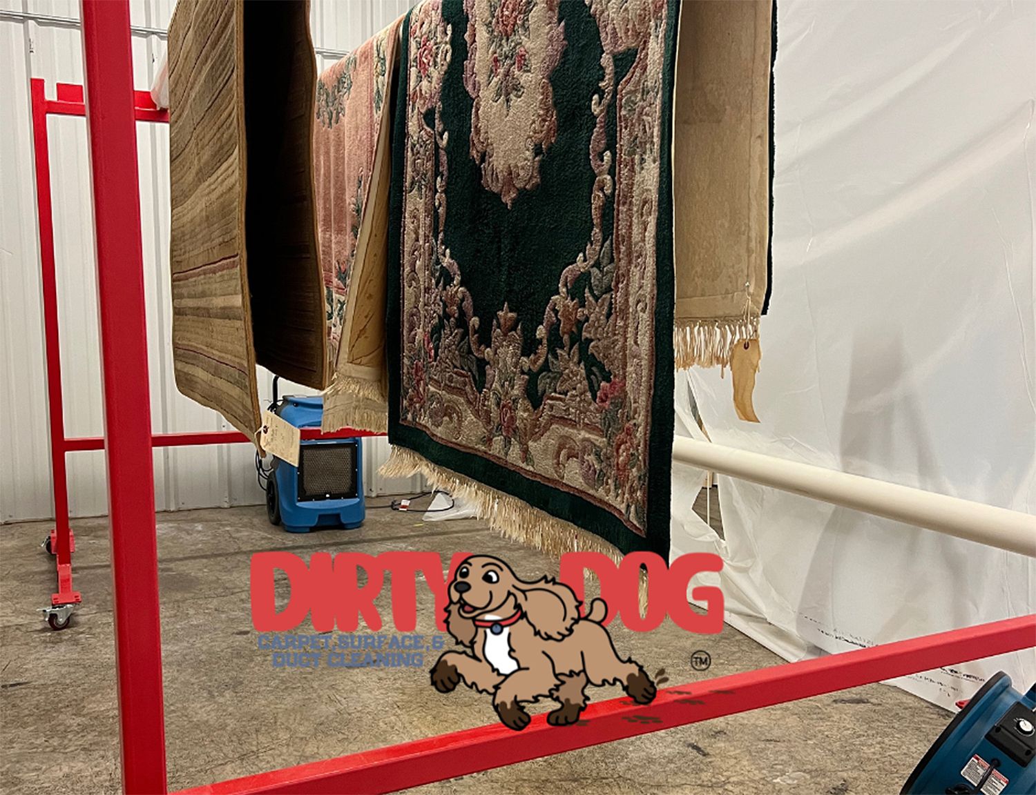 Dirty Dog Carpet, Surface and Duct Cleaning