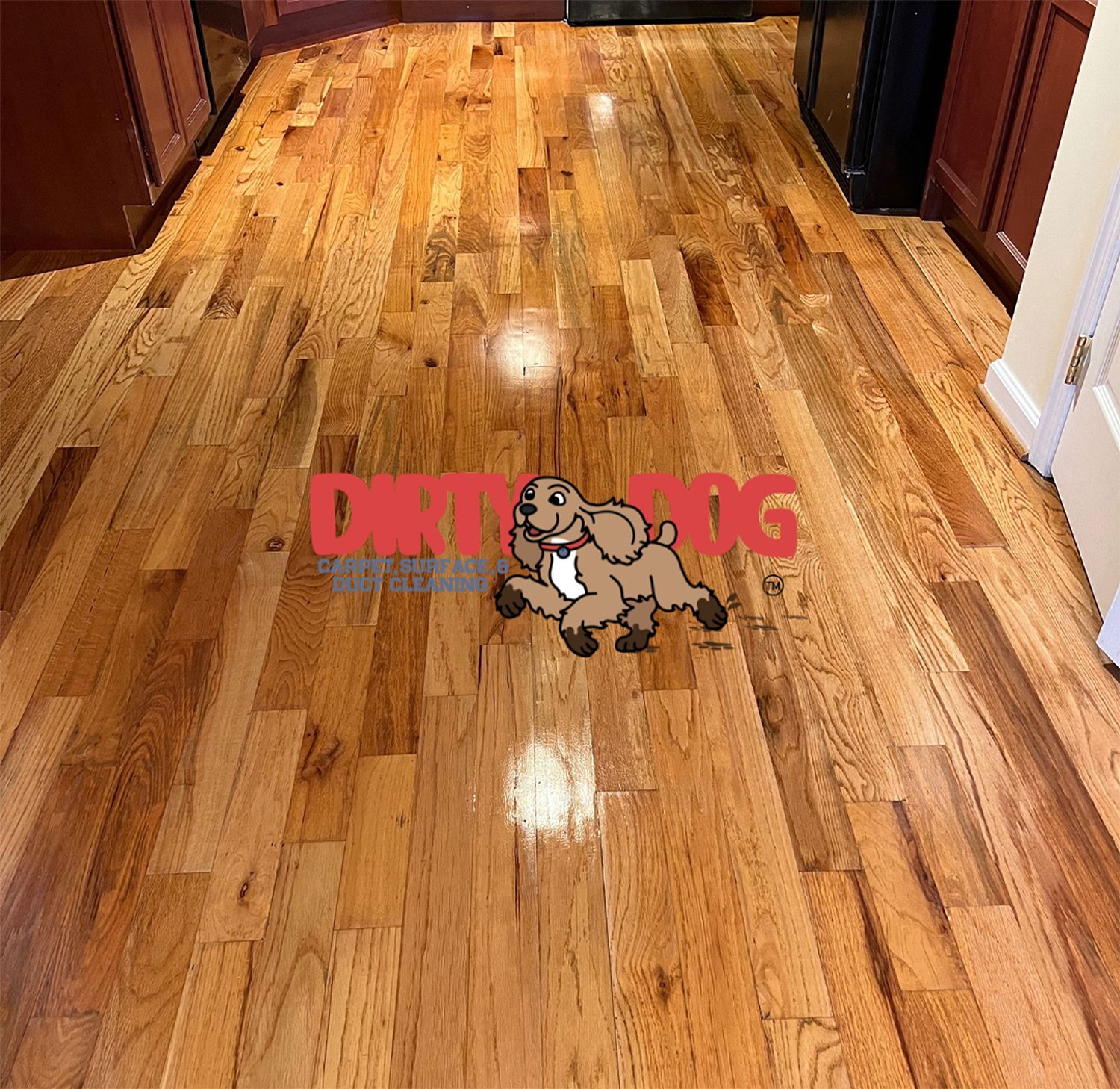 Dirty Dog Carpet, Surface and Duct Cleaning