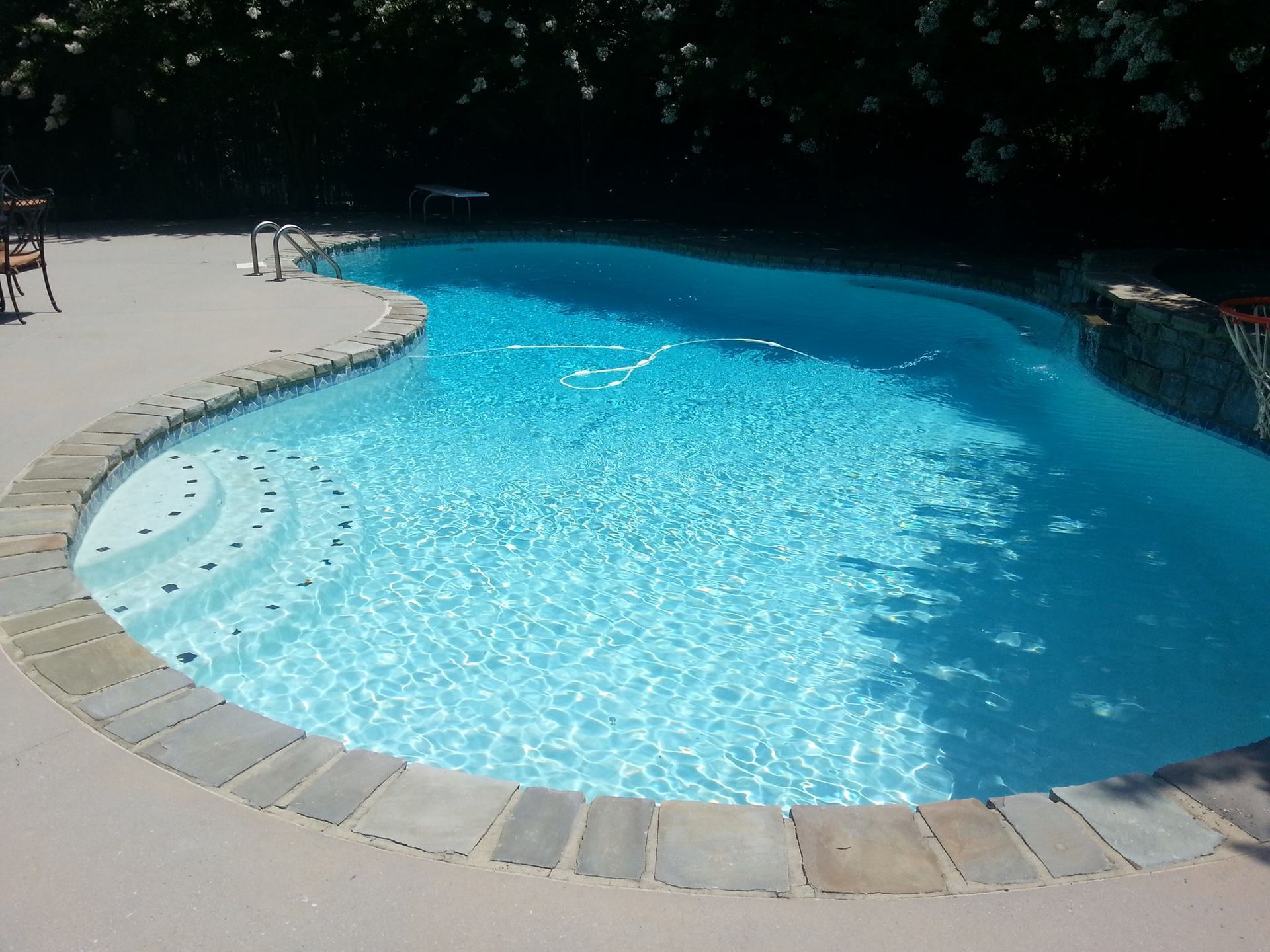 Curved backyard swimming pool with bright blue water and stone coping in sunlight