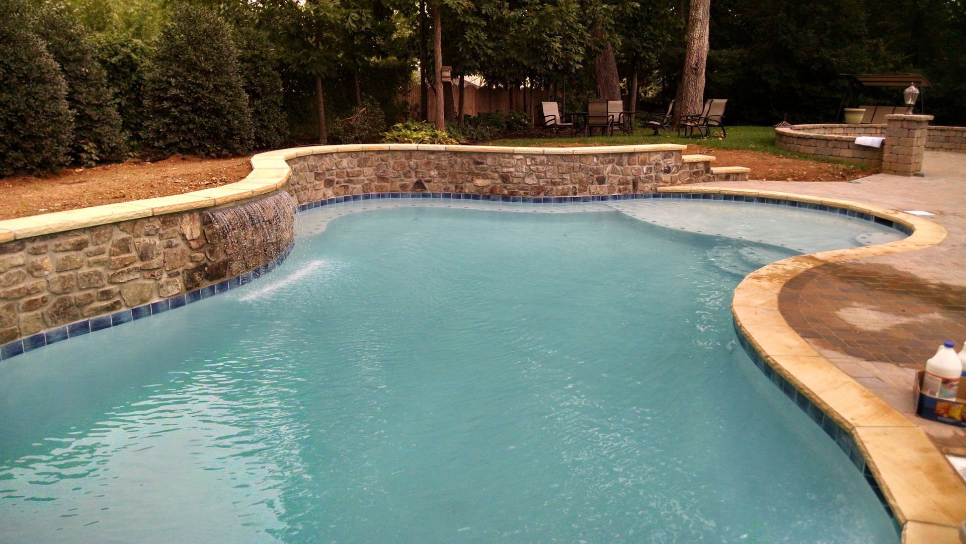 Curved backyard swimming pool with turquoise water, stone edge, and landscaped trees in the background