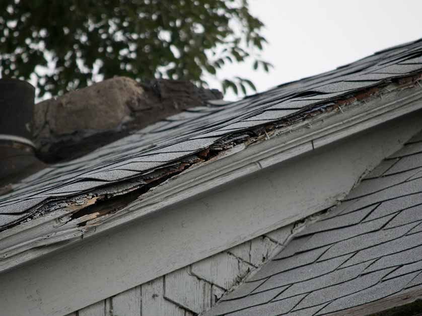 A close up of a roof with shingles missing and a tree in the background.