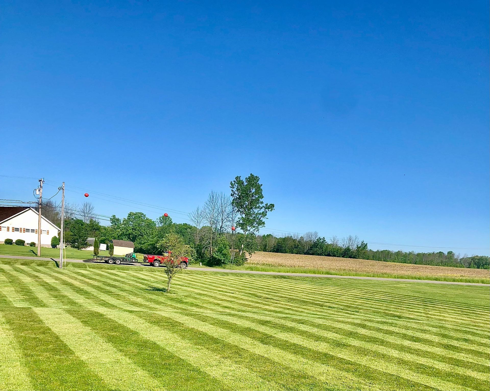 a lush green field of grass with a blue sky in the background