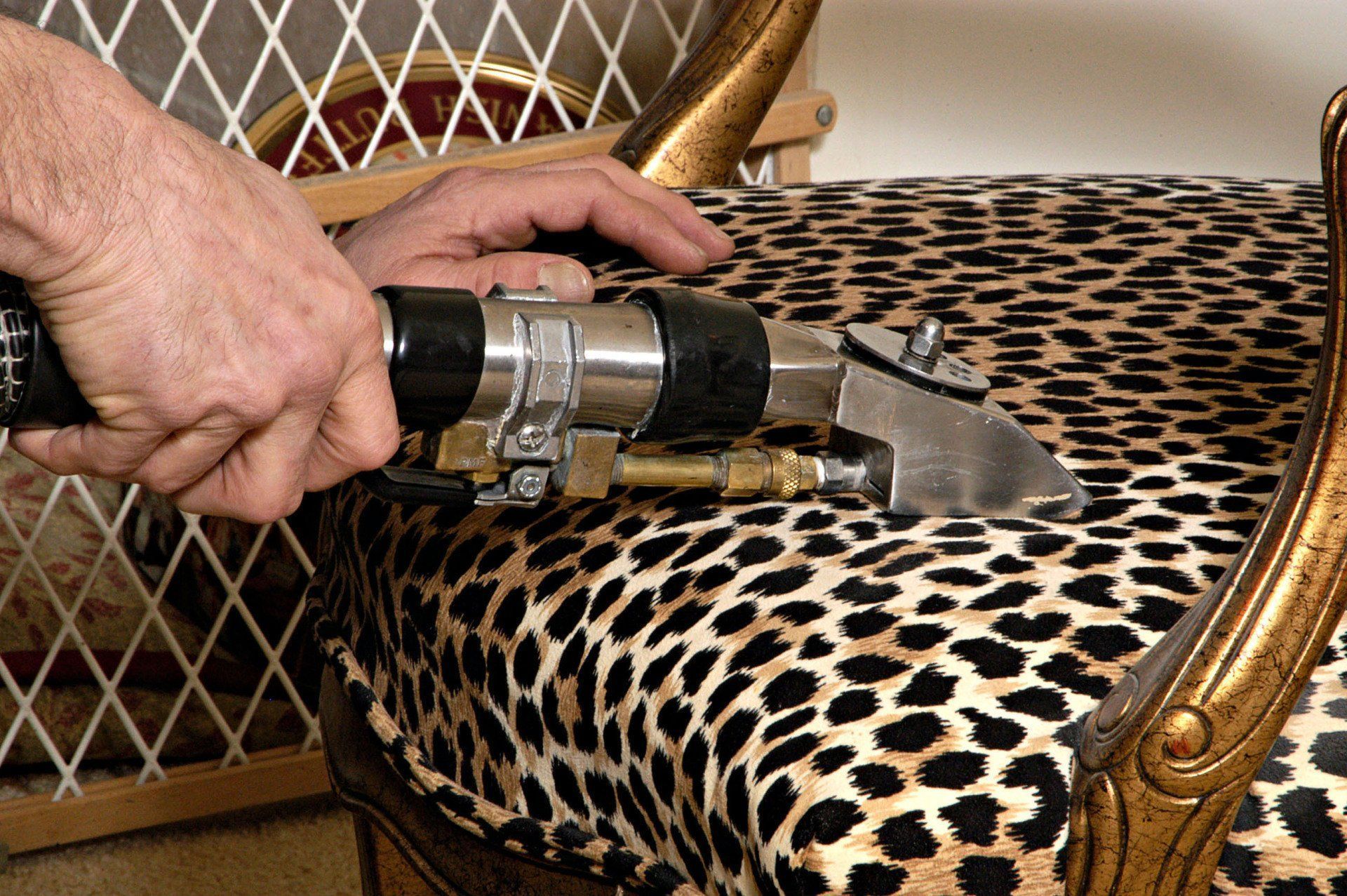 Enviro - Dry Carpet Care