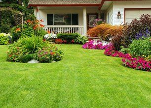 Highly-Skilled Landscapers