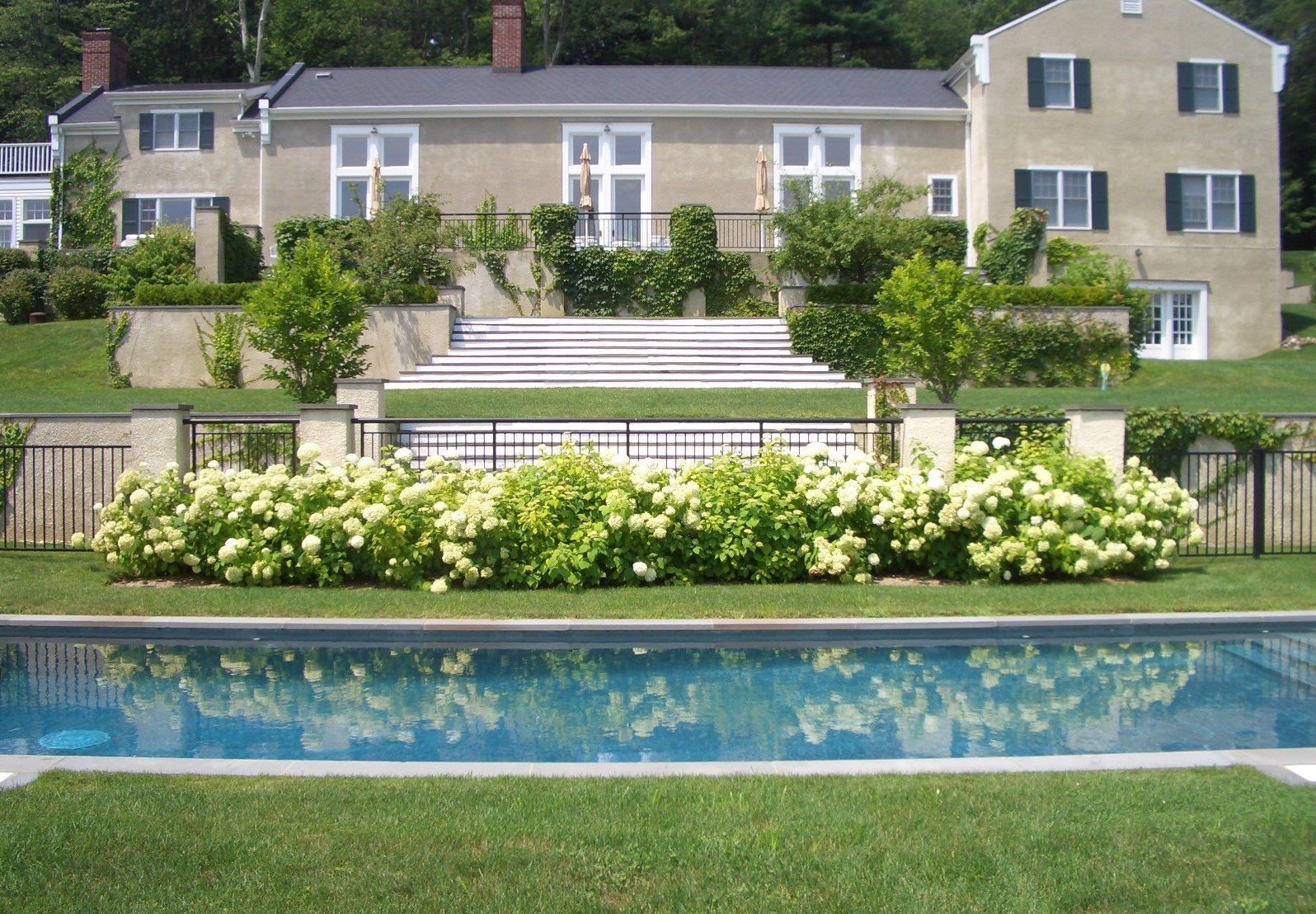 New Lawn Installation