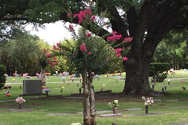 Live Oak Memorial Park