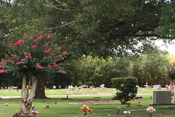 Live Oak Memorial Park