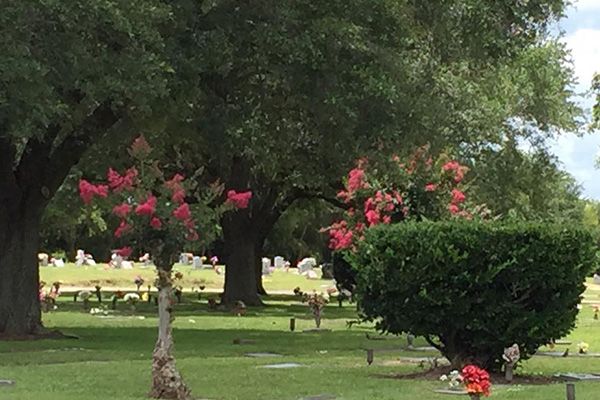 Live Oak Memorial Park